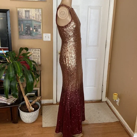 Lulus ombré sequin gown - Picture 11 of 13